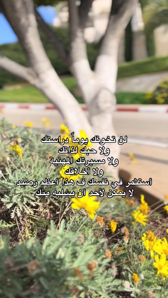 TikTok video thumbnail by hiba330_