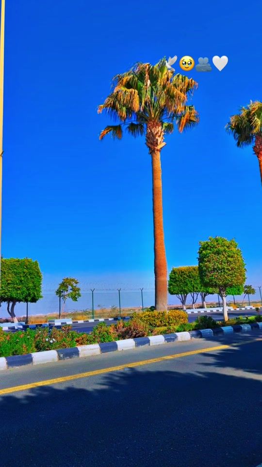 TikTok video thumbnail by n888454