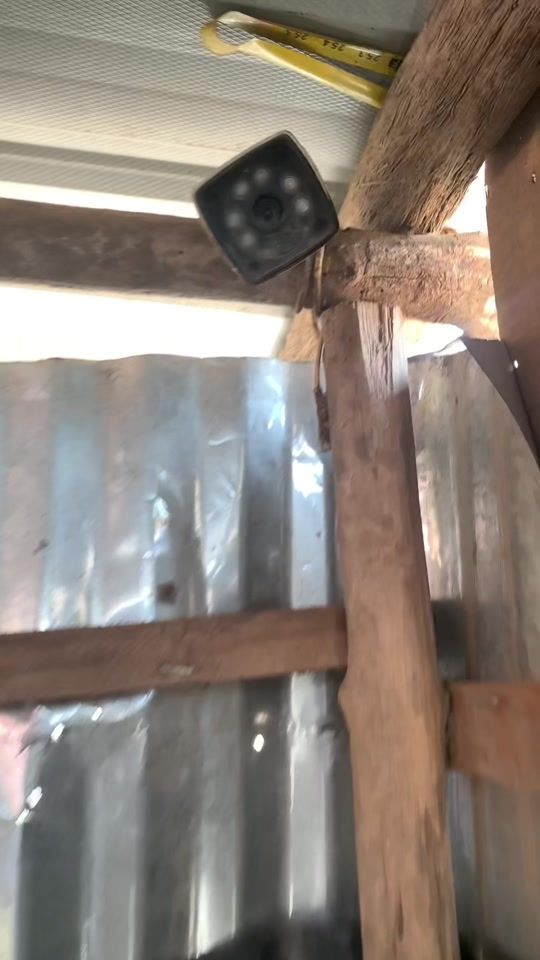 TikTok video thumbnail by lumen.escobar