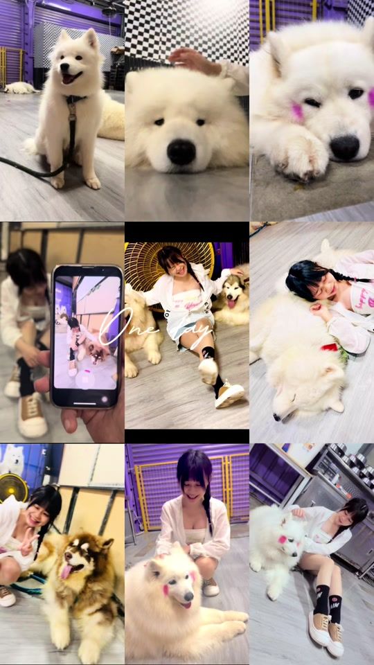 TikTok video thumbnail by love_2036