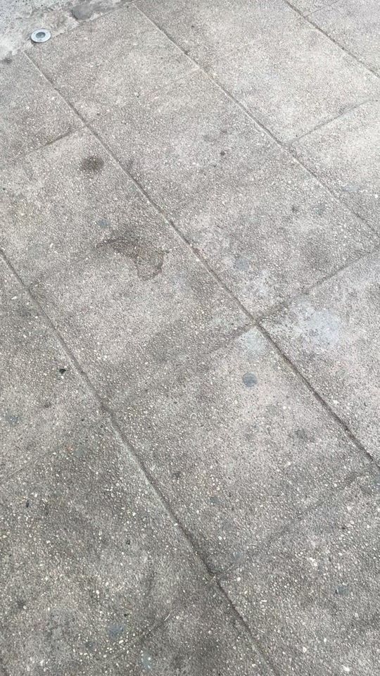 TikTok video thumbnail by licoreria_pesce
