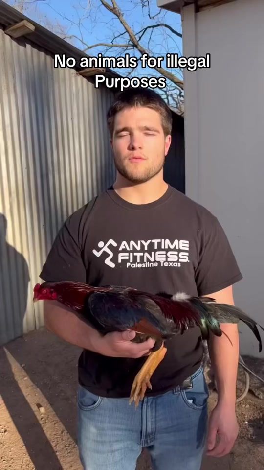 TikTok video thumbnail by john_marks_mugs