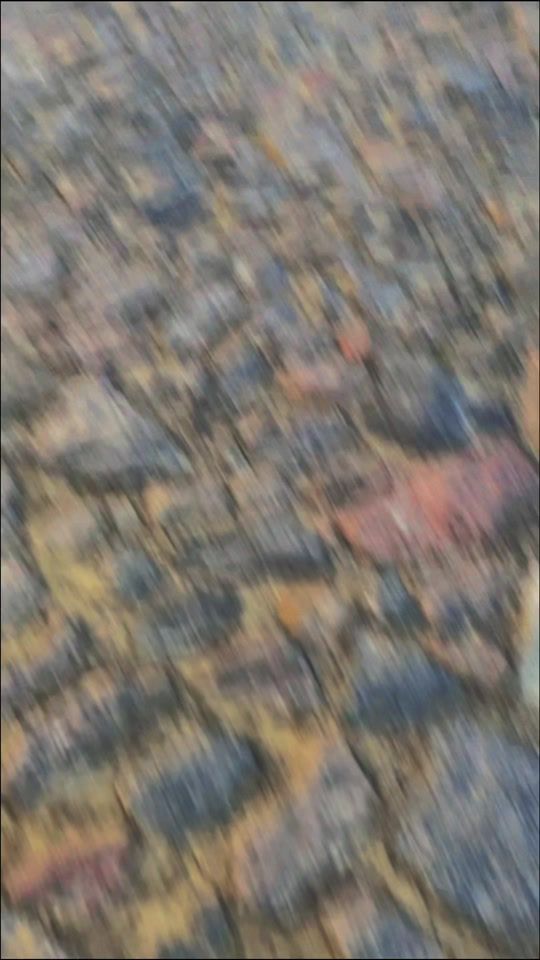 TikTok video thumbnail by aligator_99_