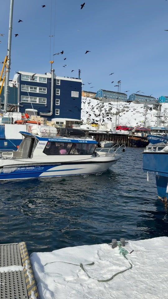 TikTok video thumbnail by greenlandcruises