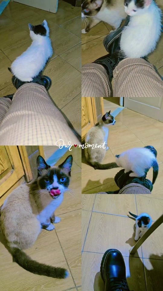 TikTok video thumbnail by zainebmohsen