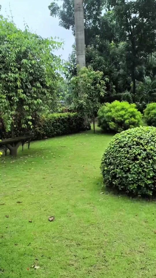 TikTok video thumbnail by rifatshaikh024