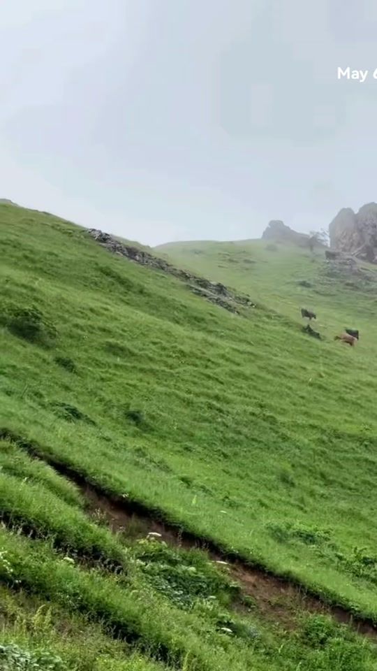 TikTok video thumbnail by mountain.lover.s