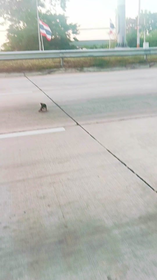 TikTok video thumbnail by tuk1927