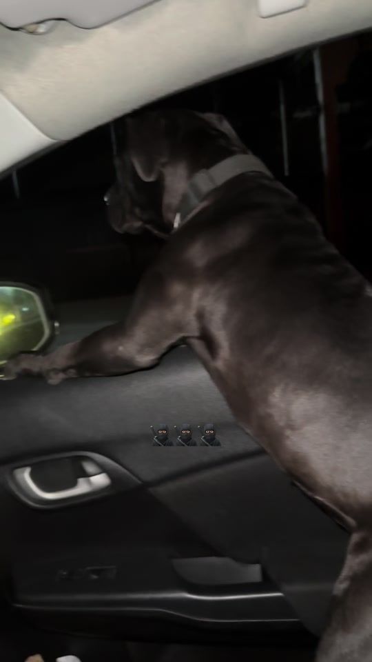 TikTok video thumbnail by melmartt123