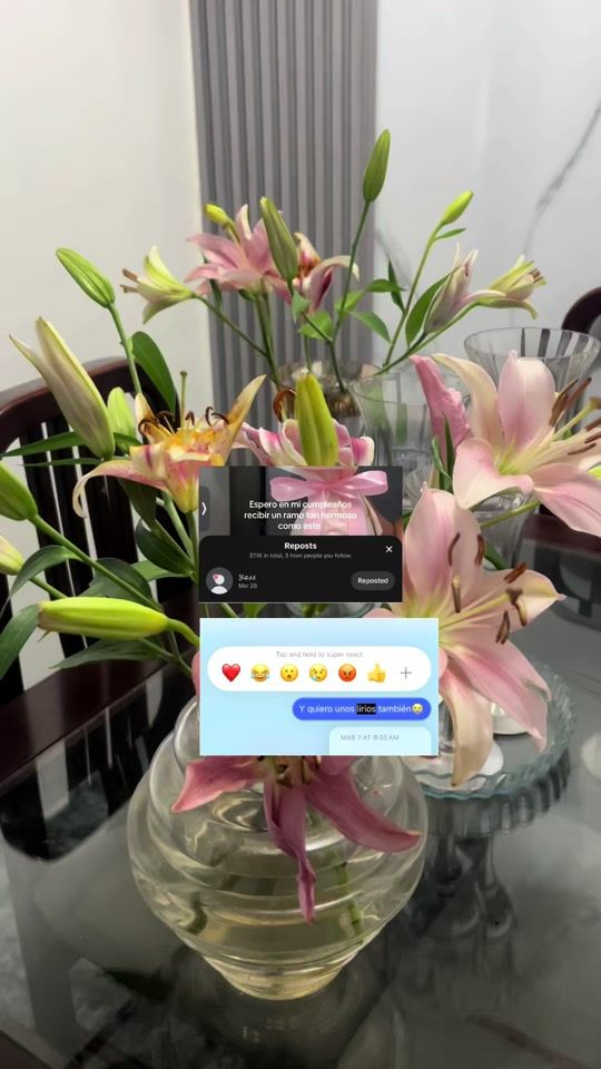 TikTok video thumbnail by hyasicall