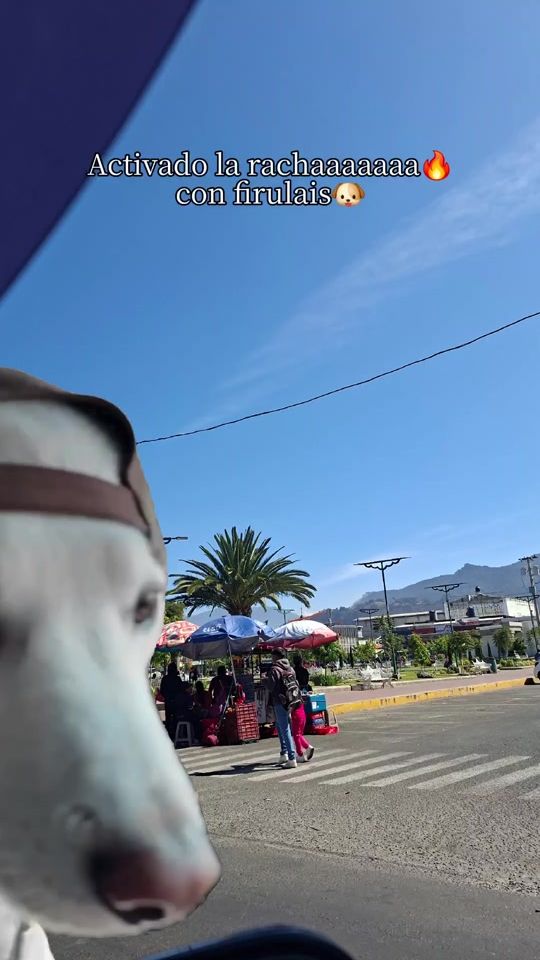 TikTok video thumbnail by .marvin_carrillo