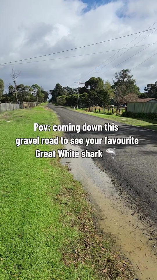 TikTok video thumbnail by crystal.world.aus