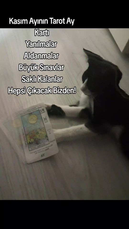 TikTok video thumbnail by tarot_tarot027