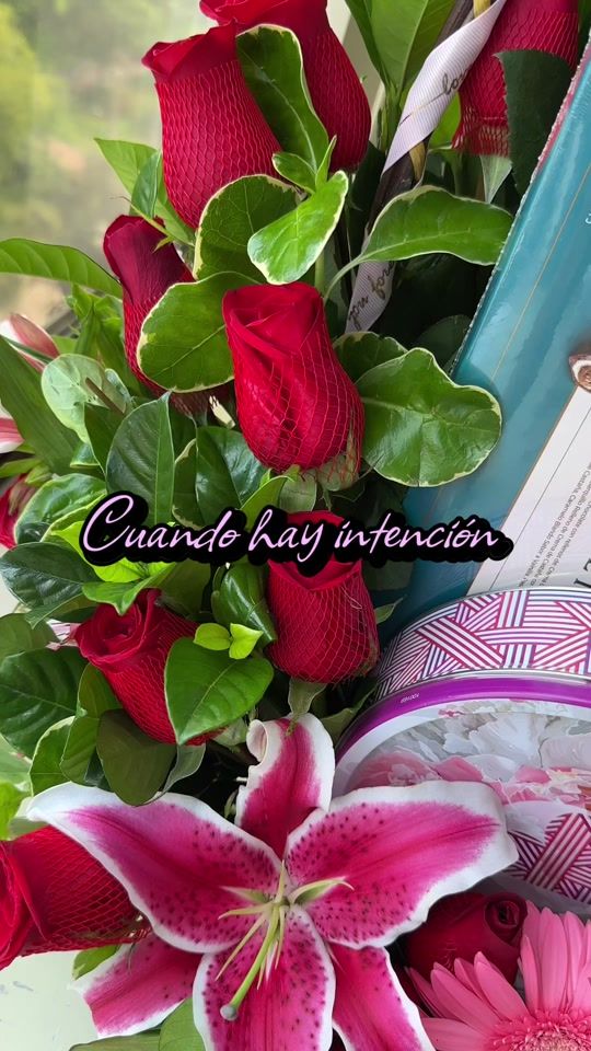TikTok video thumbnail by romanceextranjero
