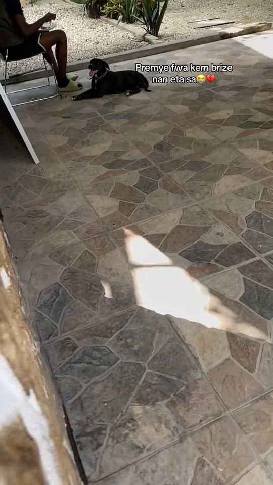 TikTok video thumbnail by __andy_boy__
