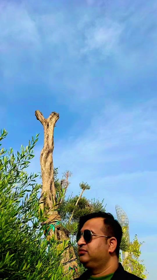 TikTok video thumbnail by mr.shagar
