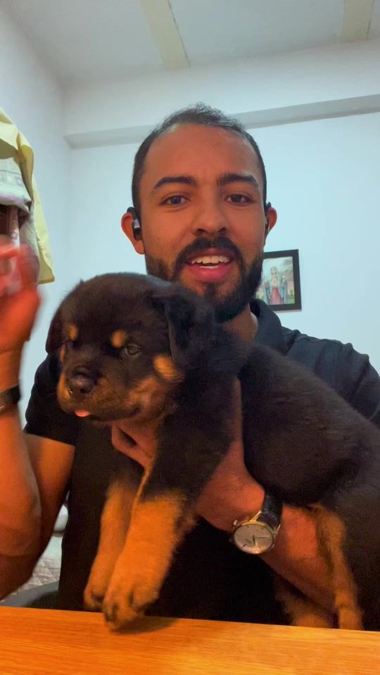 TikTok video thumbnail by rottweilers_para_todos
