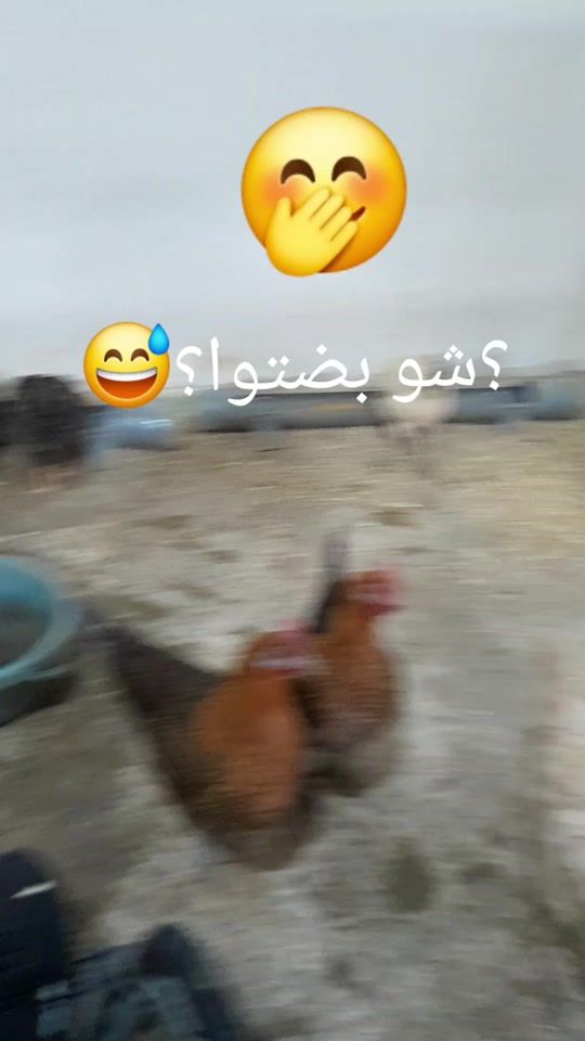 TikTok video thumbnail by aliobeid135