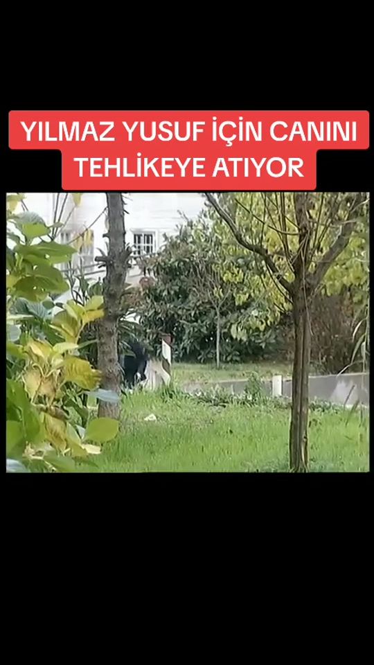 TikTok video thumbnail by deliyurek700