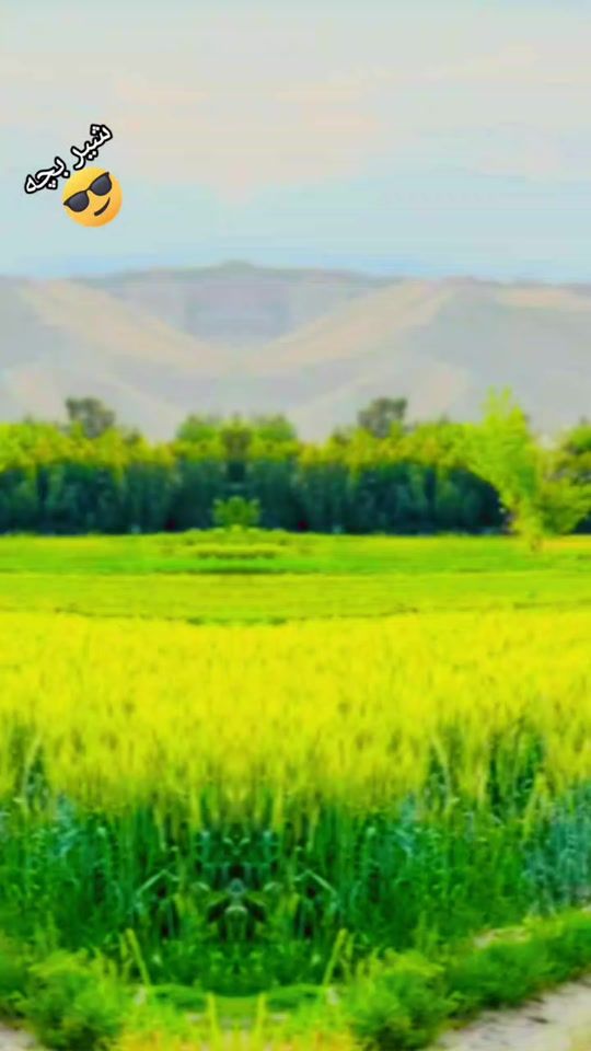 TikTok video thumbnail by namitallha