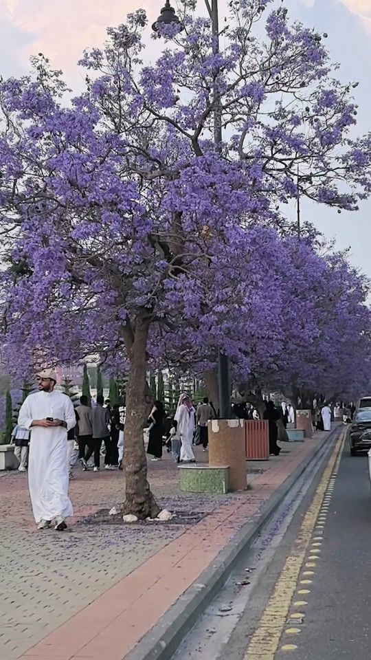 TikTok video thumbnail by mohammed.0591