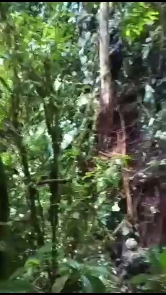 TikTok video thumbnail by rafa_08_05_23