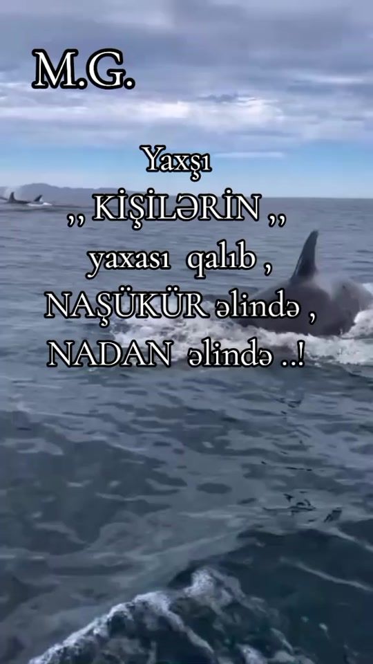 TikTok video thumbnail by _allaha_sevgim_sonsuz_