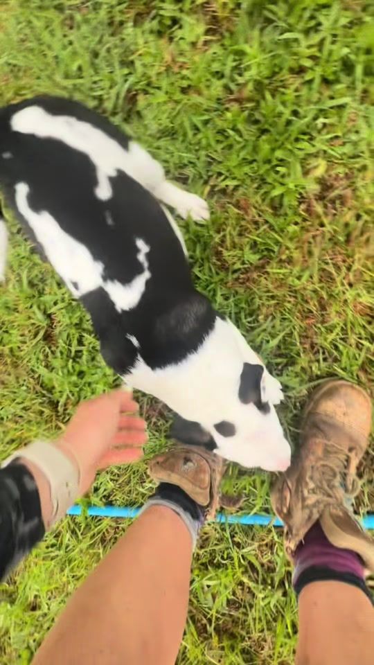 TikTok video thumbnail by sheplumbsnz