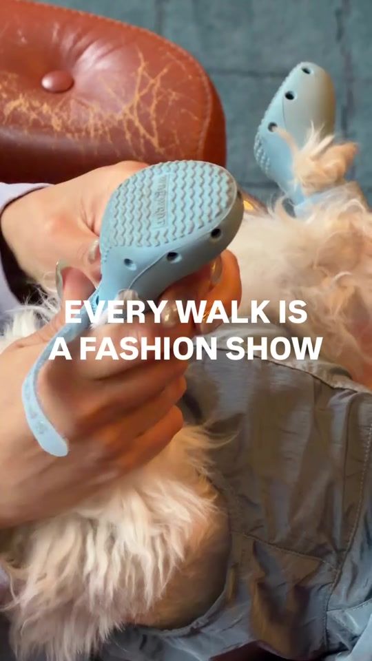 TikTok video thumbnail by wagwear