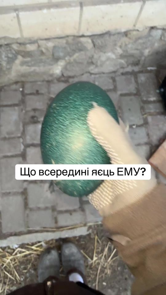 TikTok video thumbnail by di_tania