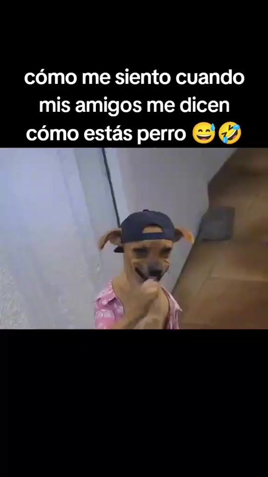 TikTok video thumbnail by joseluizarmando