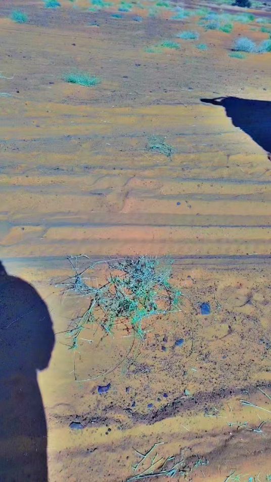 TikTok video thumbnail by moh_adel