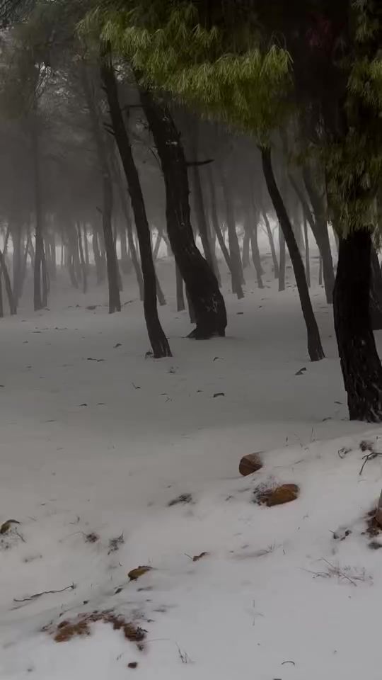 TikTok video thumbnail by meso9