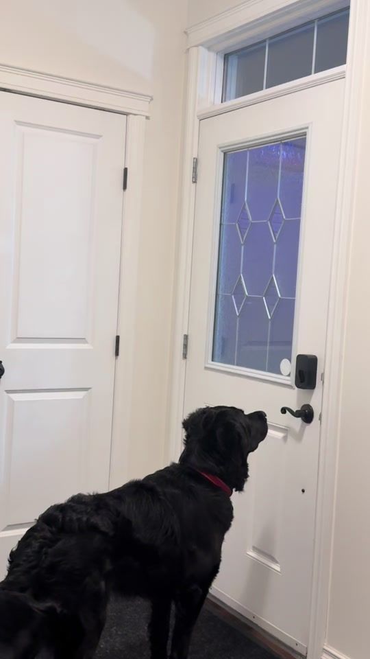 TikTok video thumbnail by khami.vondhul