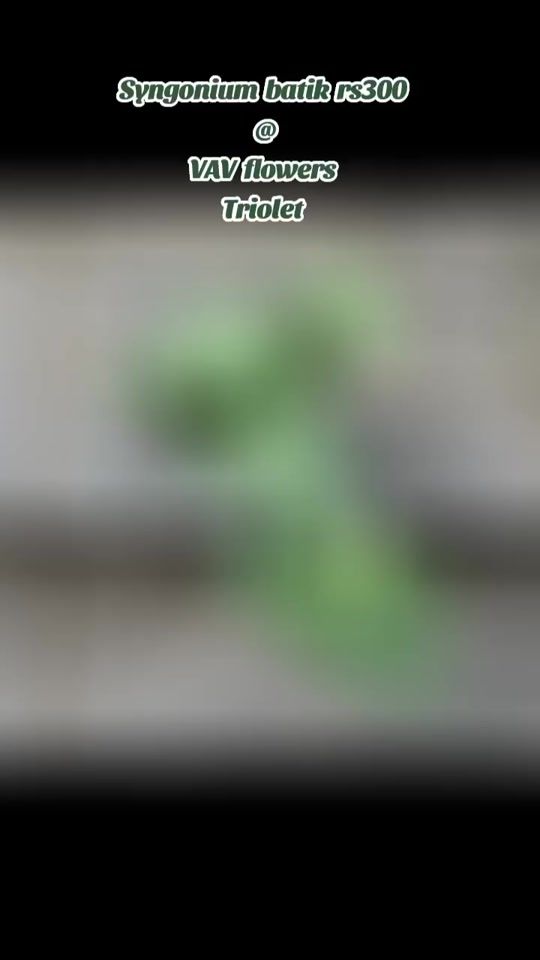 TikTok video thumbnail by avisha1262