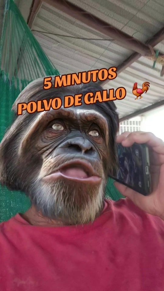 TikTok video thumbnail by zarcomiranda22