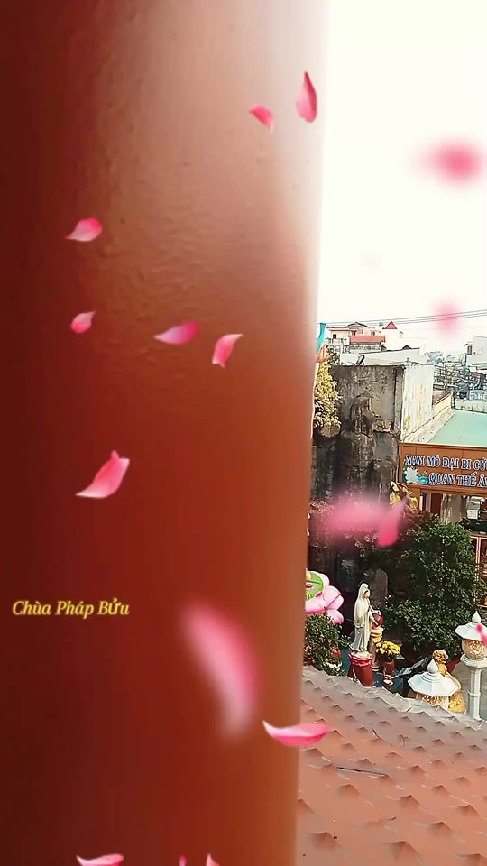 TikTok video thumbnail by buddaha22