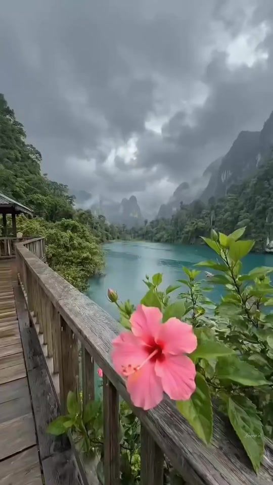 TikTok video thumbnail by yamiguz1111