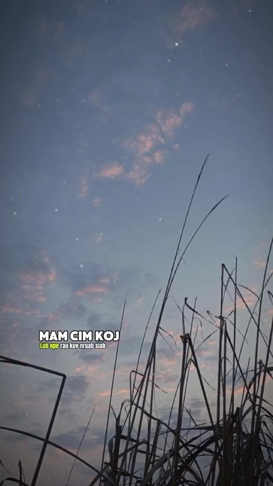 TikTok video thumbnail by minnlumi