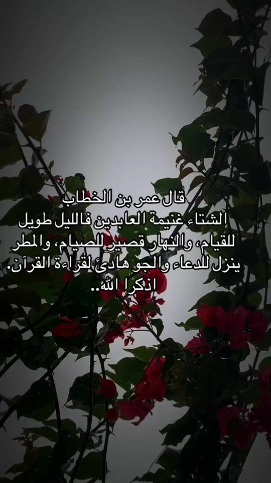 TikTok video thumbnail by sondos.195