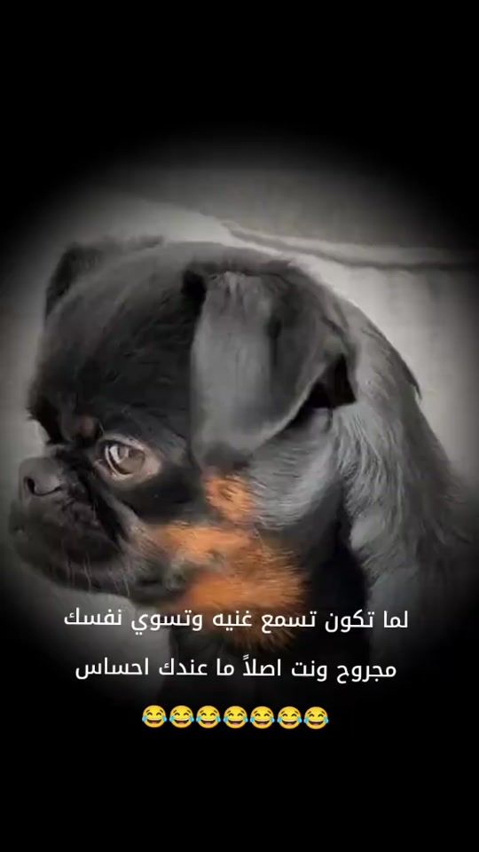 TikTok video thumbnail by fysl_28