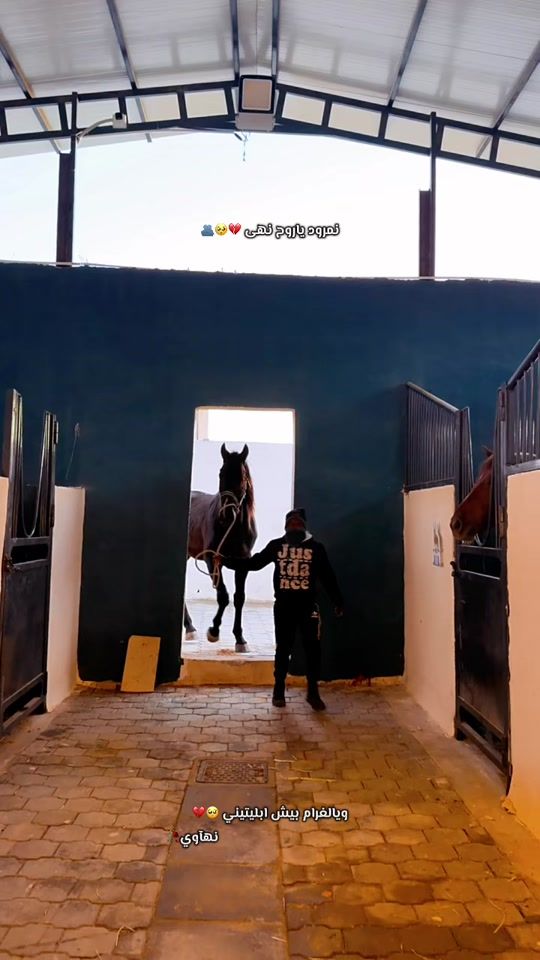 TikTok video thumbnail by noha.mohammed92