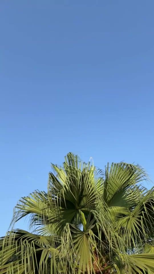 TikTok video thumbnail by jamcin.querene