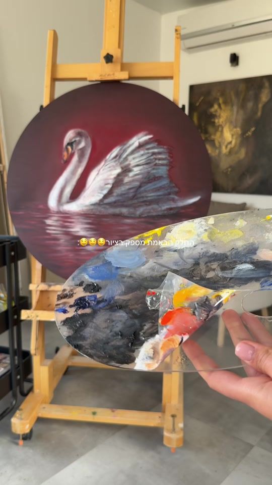 TikTok video thumbnail by rotemzamir_