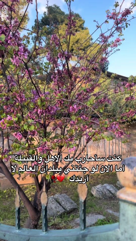 TikTok video thumbnail by largnen