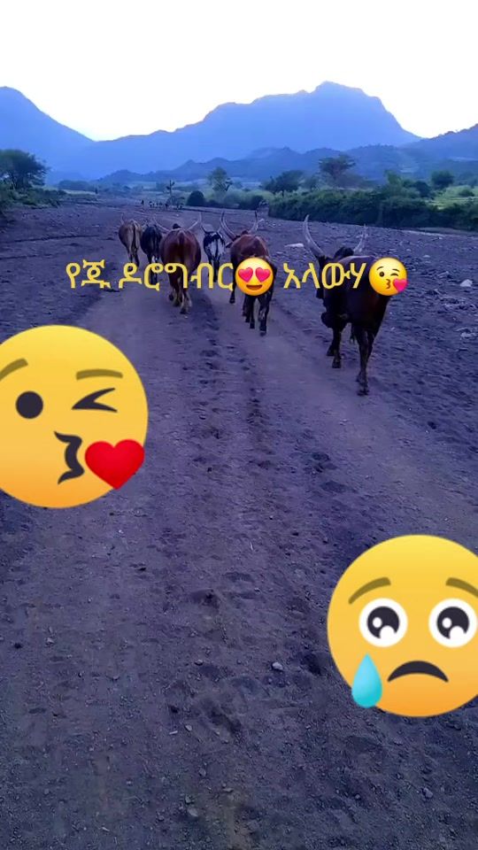 TikTok video thumbnail by sameeraal77