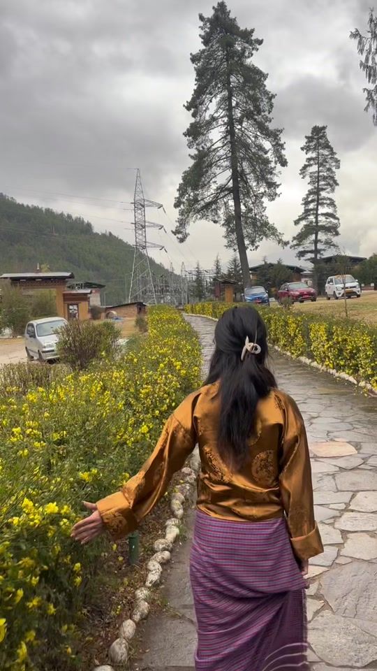 TikTok video thumbnail by wisdom506506