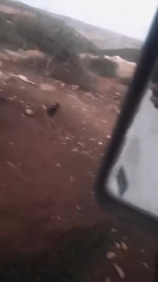 TikTok video thumbnail by user4749323328179