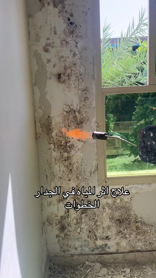 TikTok video thumbnail by mamdouhkhell