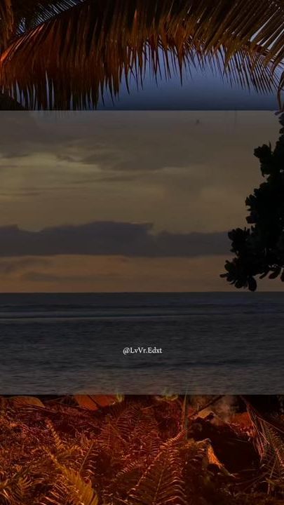TikTok video thumbnail by edit.wf
